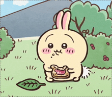 Usagi Toast